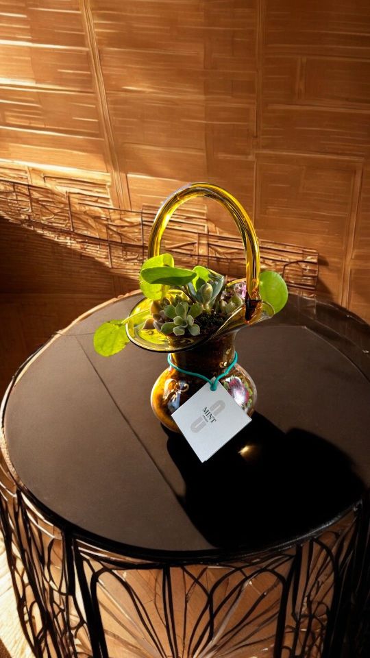 Collection 'Antique' - Sukulent Bitki Aranjmanı